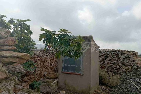 Ruinere i Yecla, Murcia, Yecla - € 39.000 | Ref: SF0517 - foto 32
